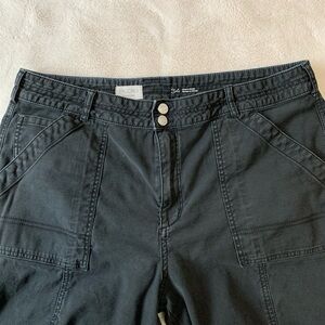 Pilcro Anthropologie Wanderer Jeans Plus 34